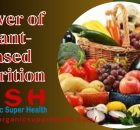 The Power of Plant-Based Nutrition