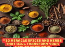 10 Miracle Spices and Herbs That Will Transform Your Health Forever!
